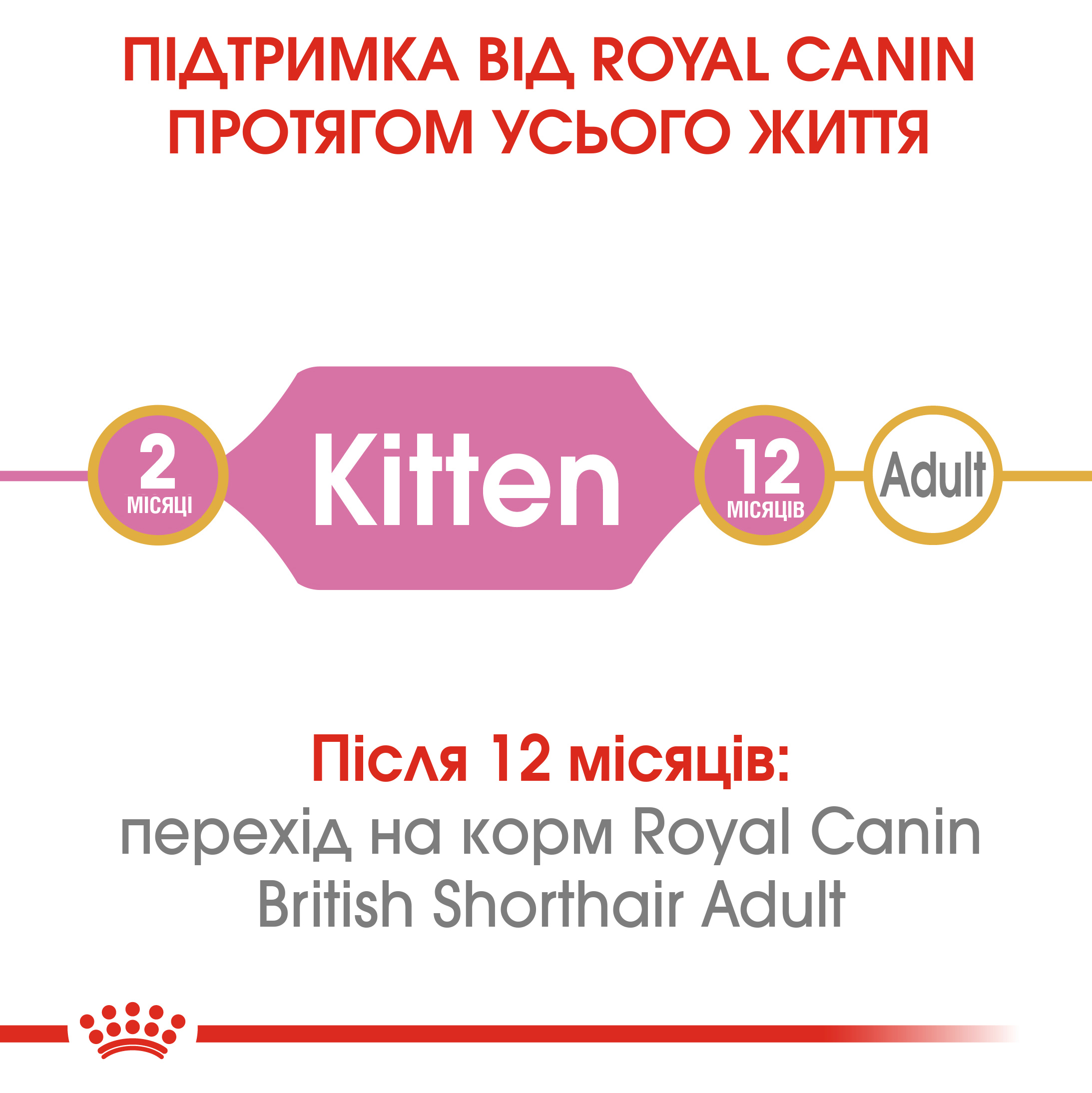 Сухий корм для кошенят Royal Canin British Shorthair Kitten - 3
