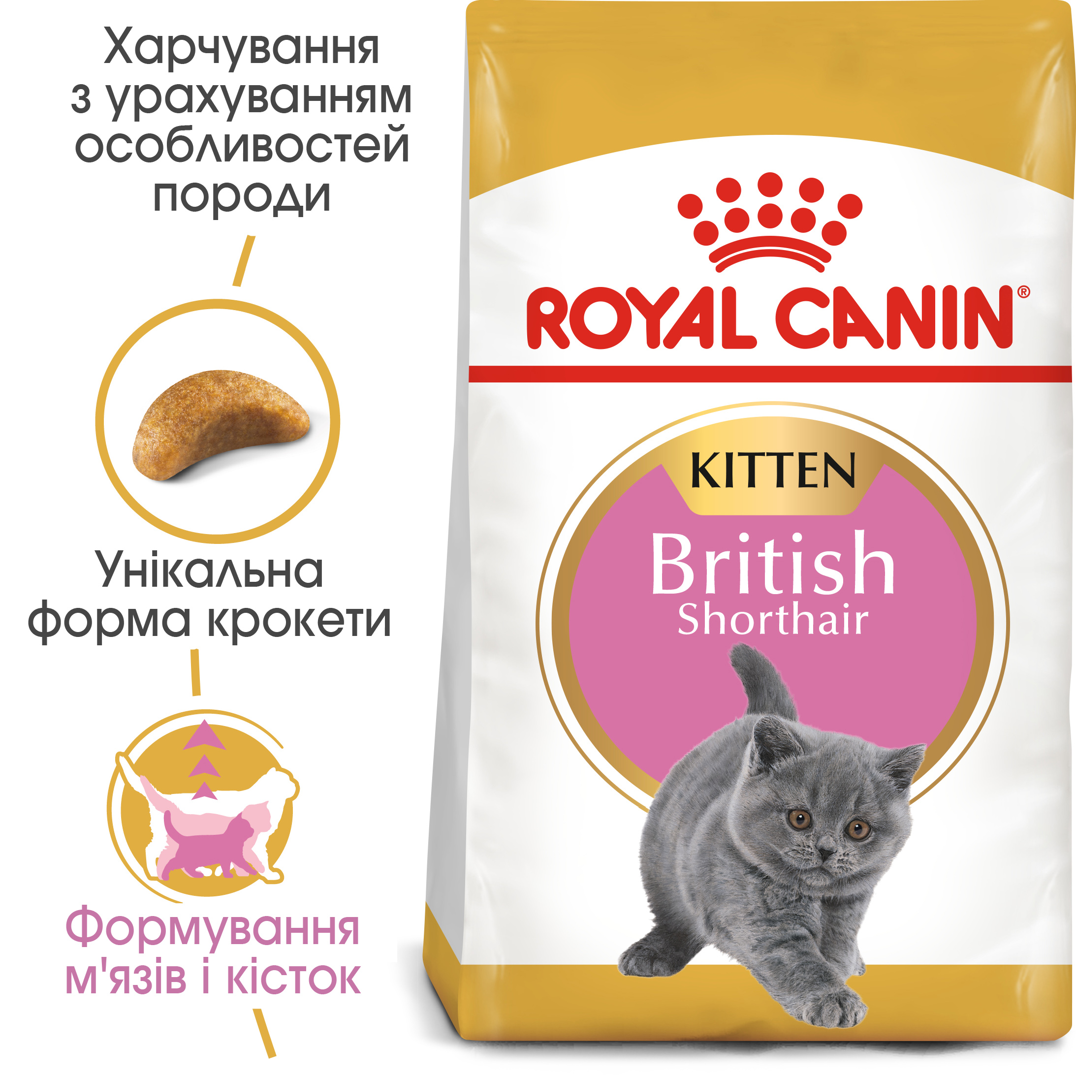Сухий корм для кошенят Royal Canin British Shorthair Kitten - 6