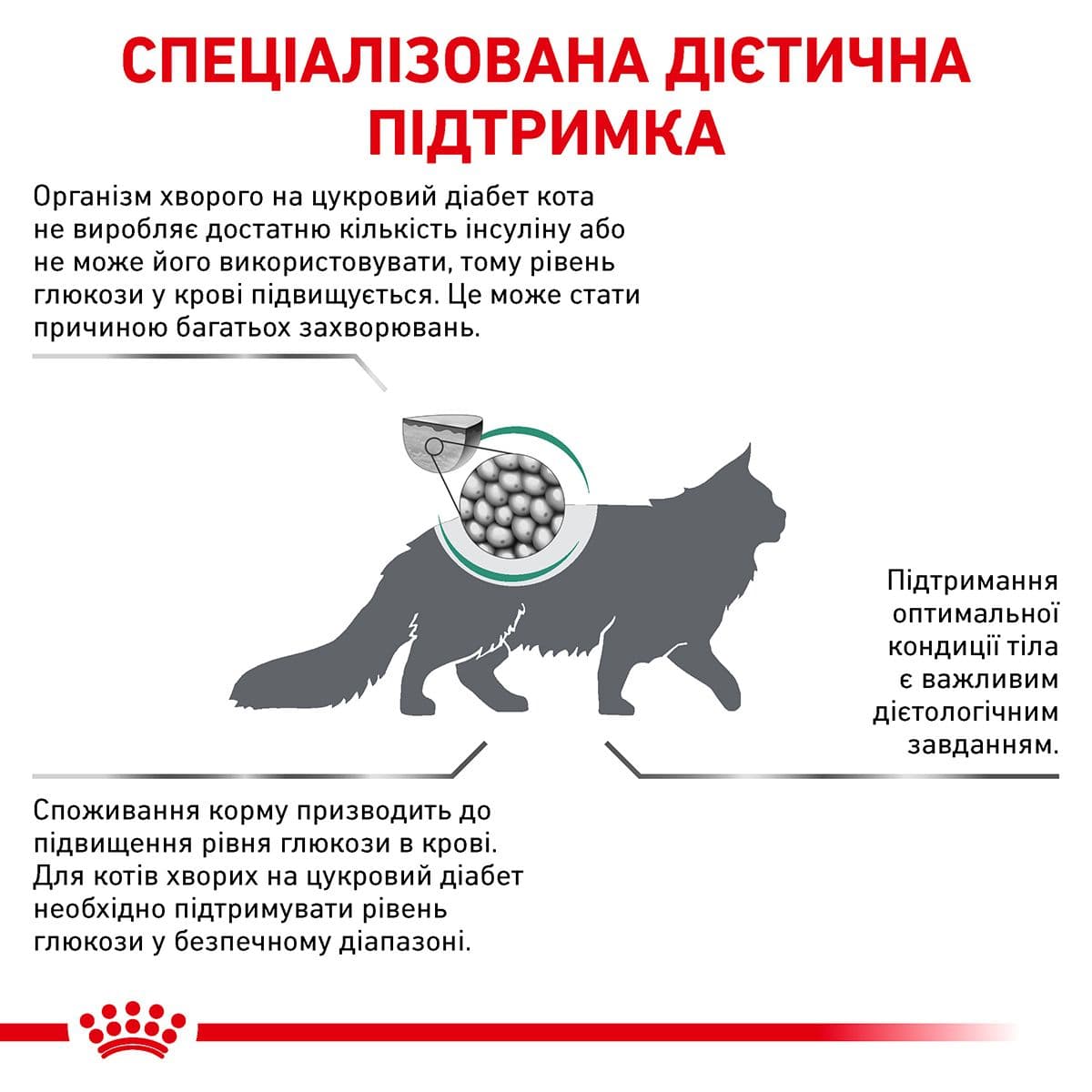 Лікувальний сухий корм для котів Royal Canin Diabetic Feline - 3