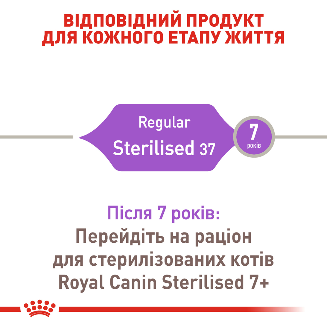 Сухий корм для котів Royal Canin Sterilised - 3