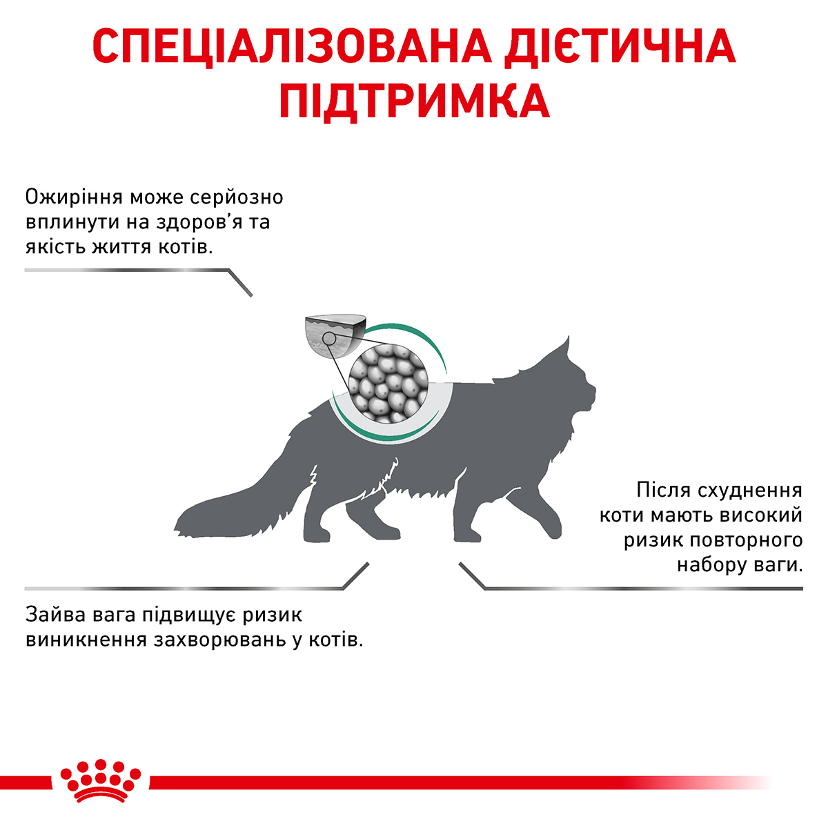 Лікувальний сухий корм для котів Royal Canin Satiety Weight Management - 5