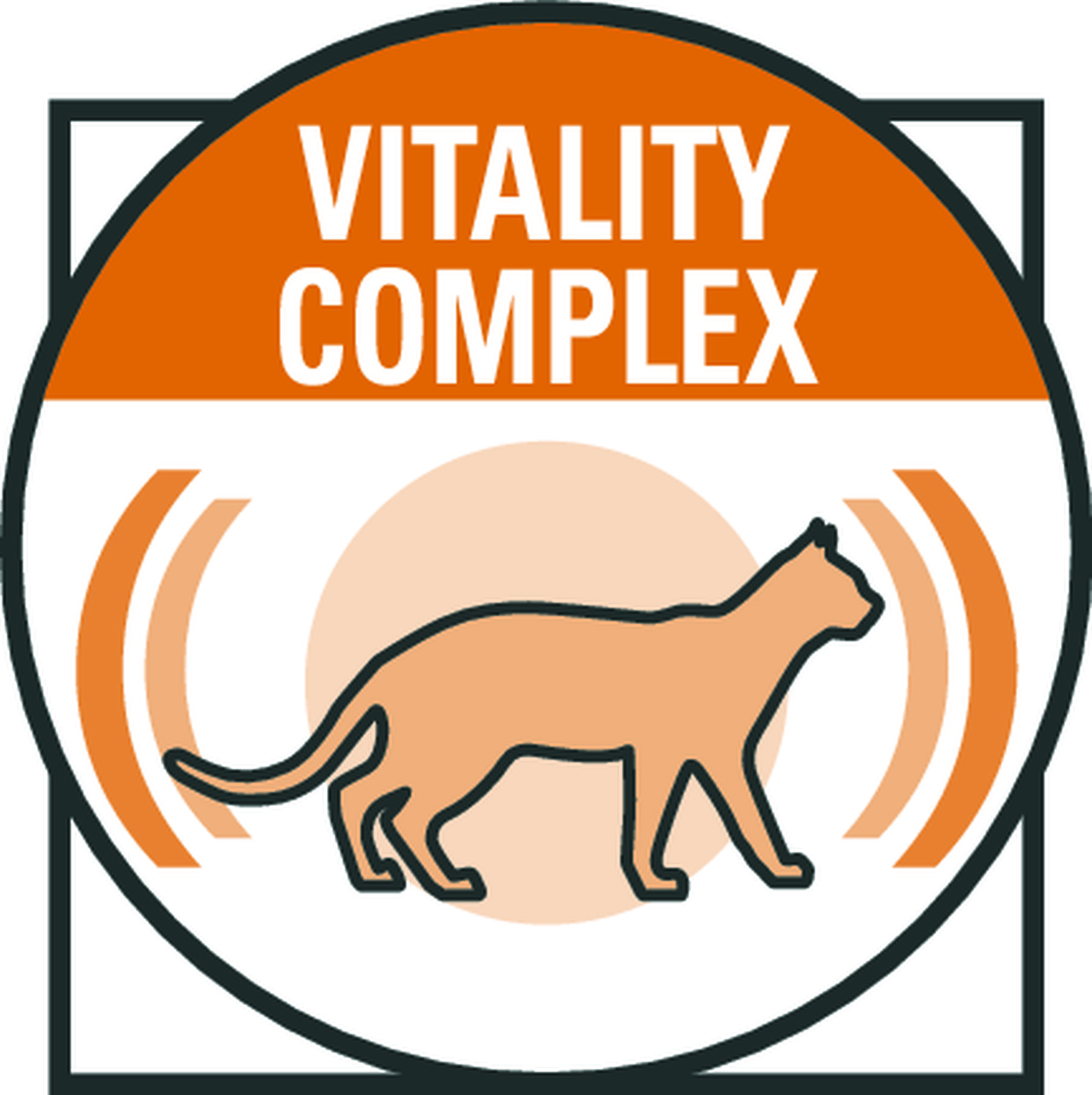 Лікувальний сухий корм для котів Royal Canin Mature Consult - 5