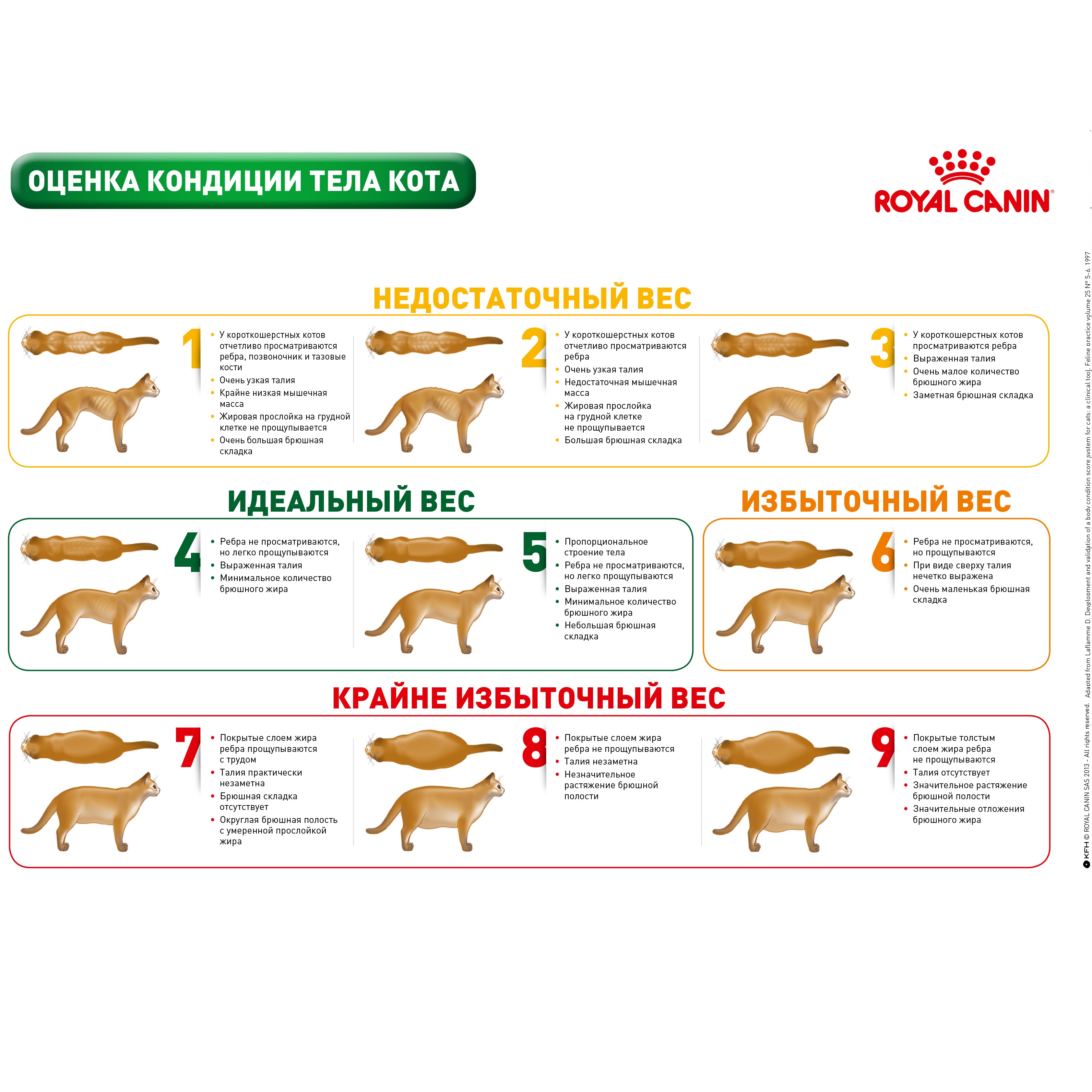 Лікувальний сухий корм для котів Royal Canin Mature Consult - 3