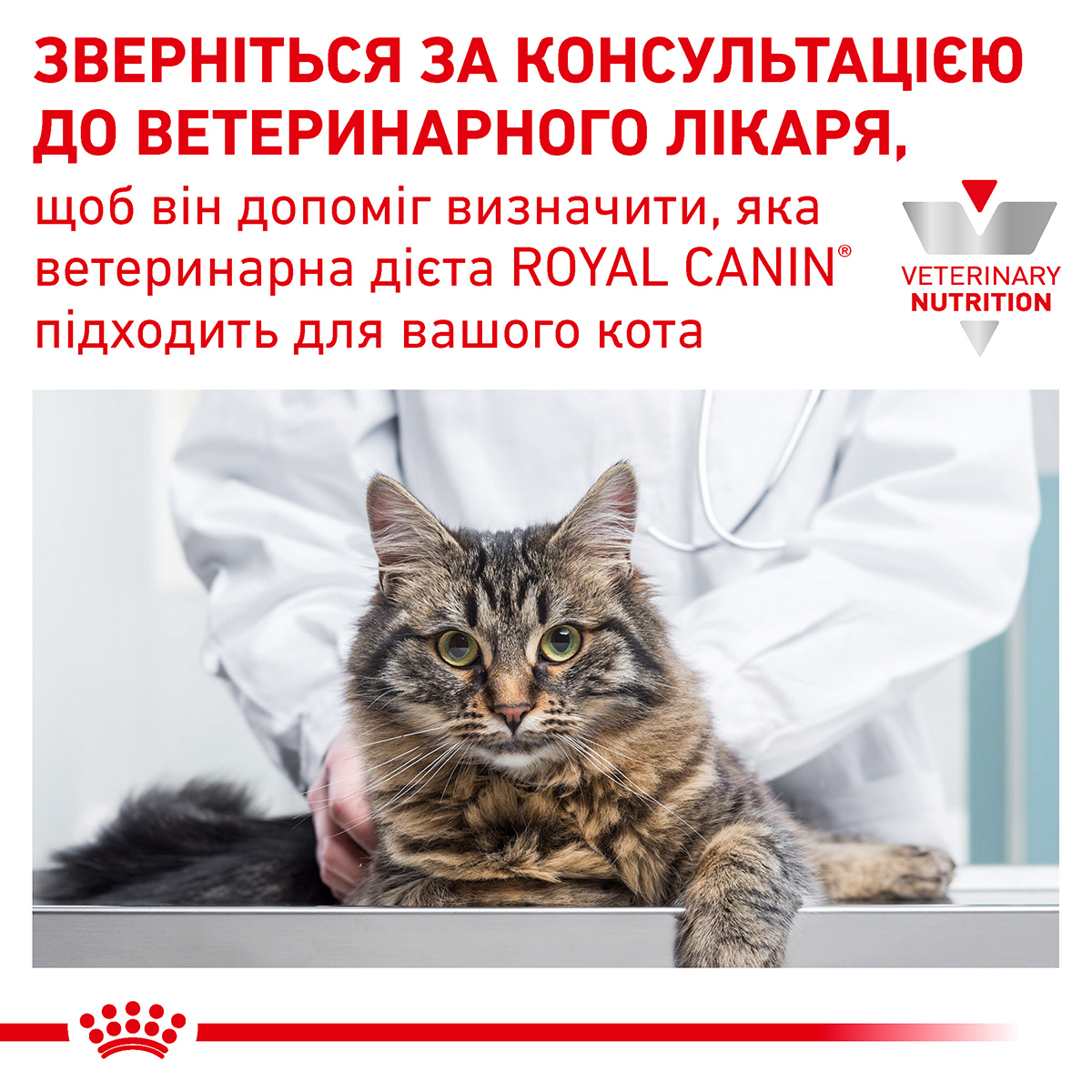 Лікувальний сухий корм для котів Royal Canin Hepatic - 10