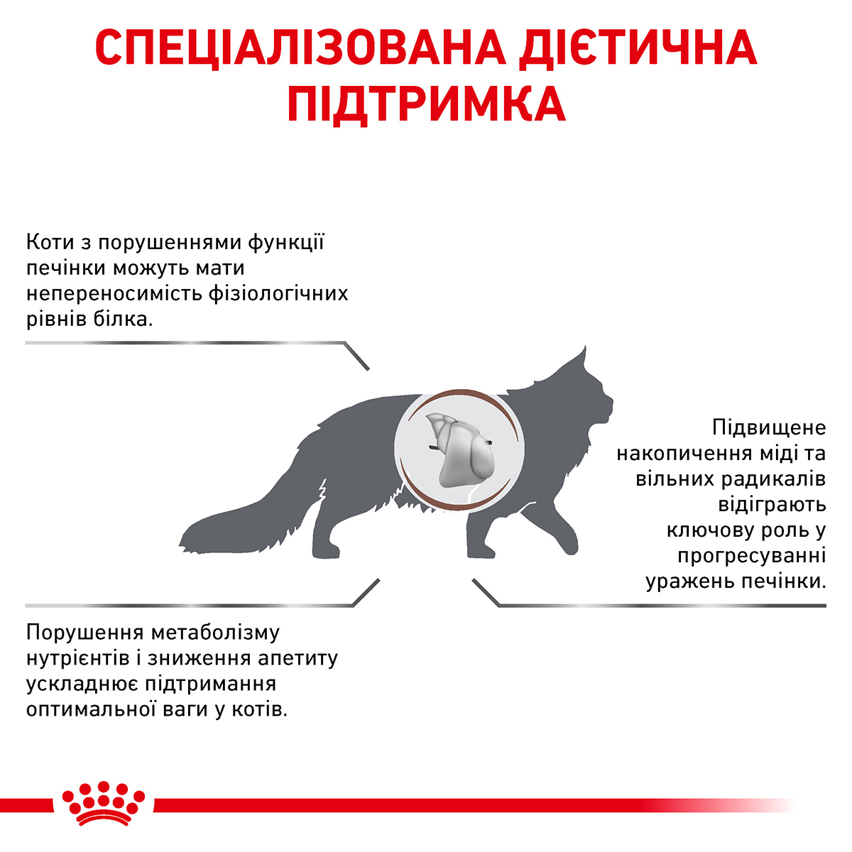 Лікувальний сухий корм для котів Royal Canin Hepatic - 4