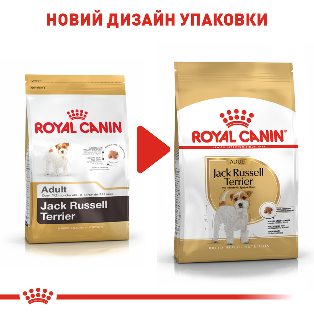 Сухий корм для собак Royal Canin Jack Russel Terrier Adult - 7