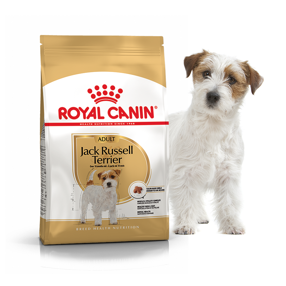 Сухий корм для собак Royal Canin Jack Russel Terrier Adult - 2