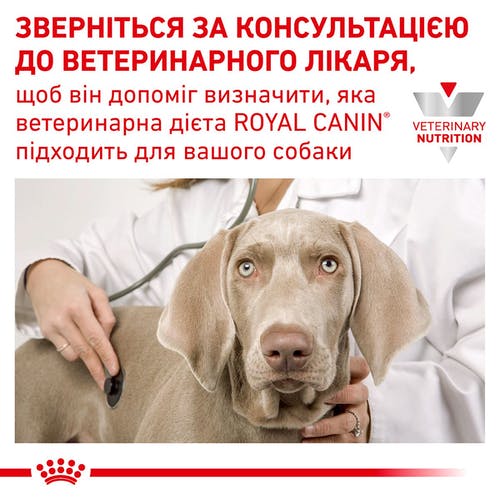 Лікувальний сухий корм для собак Royal Canin Gastrointestinal - 7