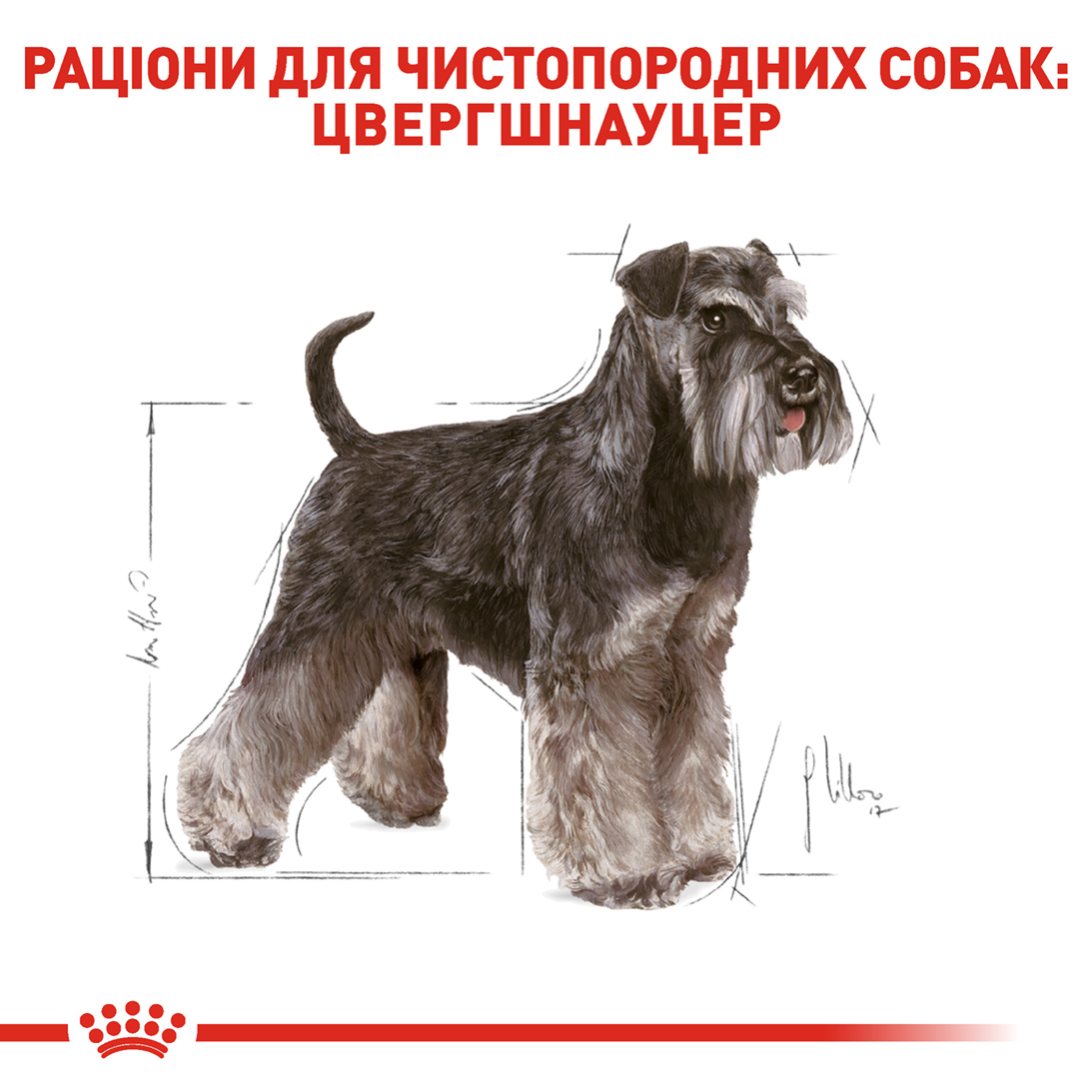Сухий корм для собак Royal Canin Schnauzer Adult - 4