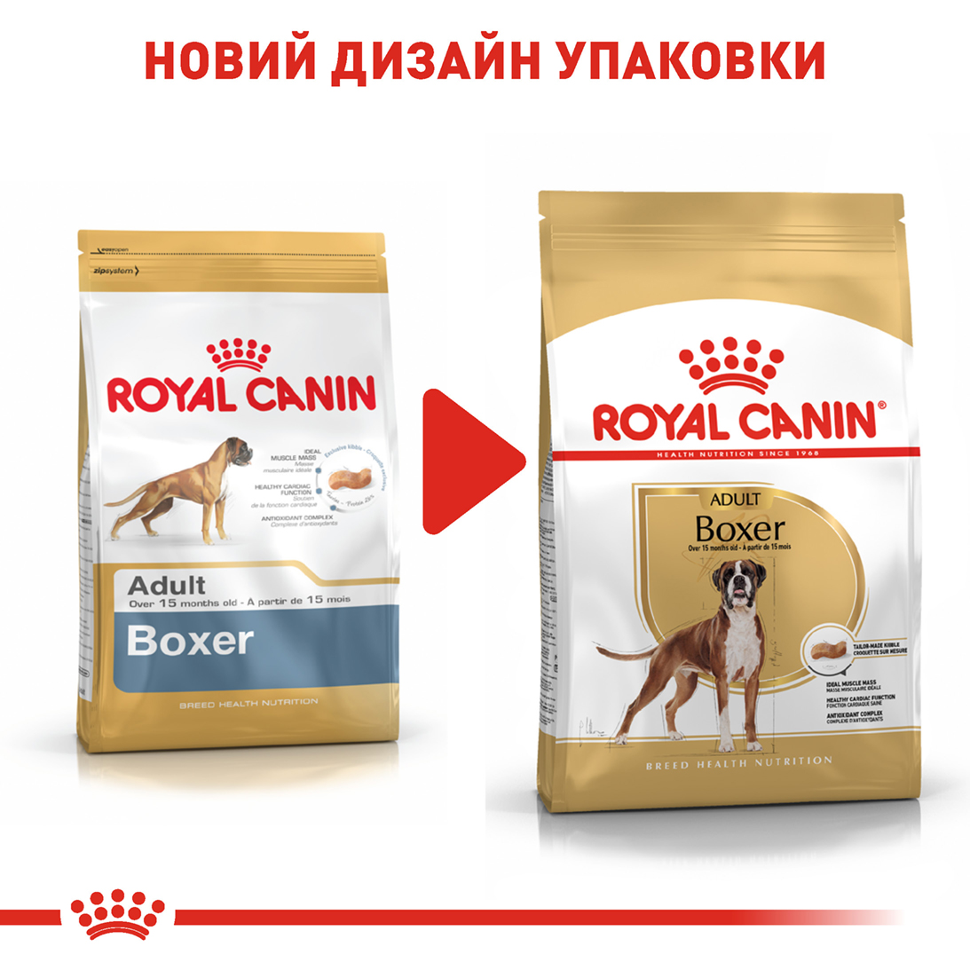 Сухий корм для собак Royal Canin Boxer Adult - 7