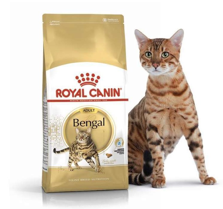 Сухий корм для котів Royal Canin Bengal Adult - 1