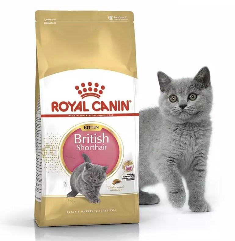 Сухий корм для кошенят Royal Canin British Shorthair Kitten - 1