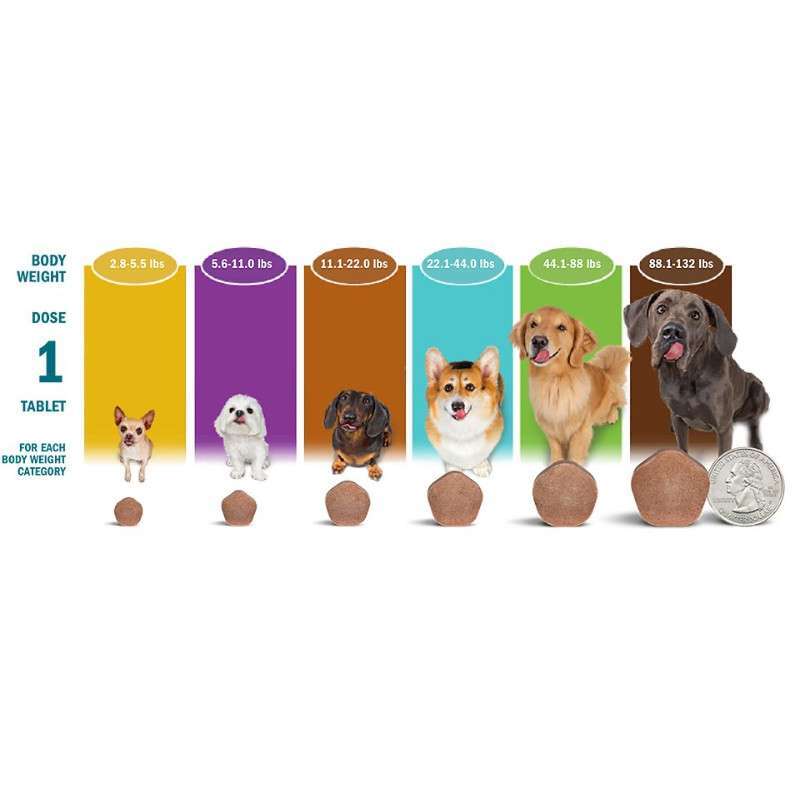 Жувальні таблетки для собак вагою 5.1-10кг Simparica Trio від бліх і кліщів - 4