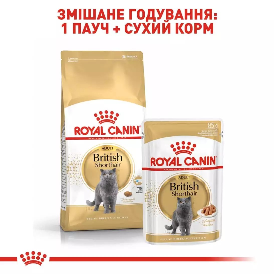 Сухий корм для котів Royal Canin British Shorthair Adult - 2